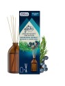 Glade Aromatherapy Reeds Refreshing Energy - Tyčinkový difuzér 80ml donna