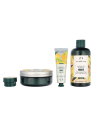 The Body Shop G4 Medium Mango Giftset Mango Shower Gel 250ml Mango Body Butter  200ml Mango Body Scrub  50ml Mango Hand Balm 30