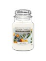 Yankee Candle Home ispirazione Sweet arancione Blossom profumato Candle 538 g unisex 2073