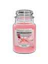 Yankee Candle Home ispirazione bacca Kiss Bellini profumato Candle 538 g unisex 2074