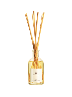 The Olphactory cedro e oud bastoncini profumati diffusore di aromi 100ml unisex