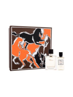 Hermes Terre dHerms Eau de Toilette Uomo 50ml