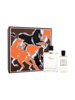 Hermes Terre dHerms Eau de Toilette Uomo 100ml