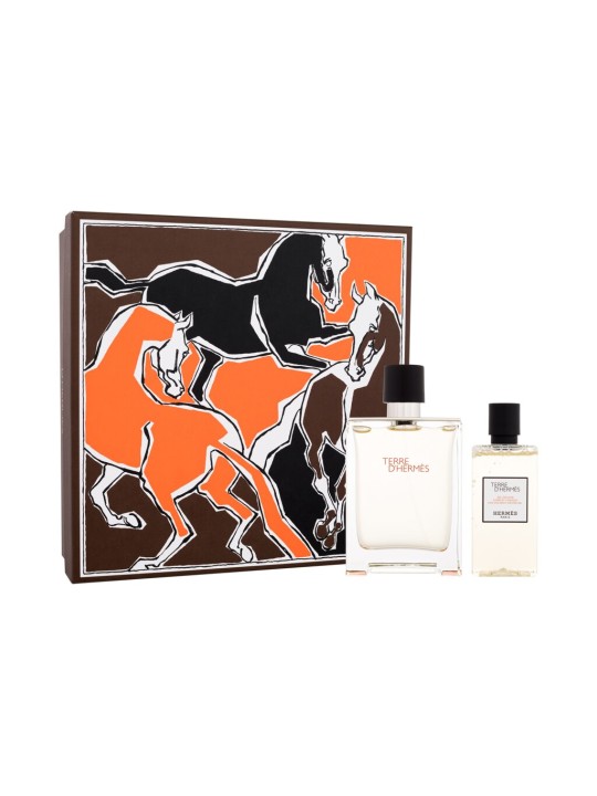 Hermes Terre dHerms Eau de Toilette Uomo 100ml