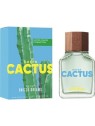 Benetton United Dreams Green Cactus eau de toilette uomo 100ml