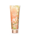 Victorias Secret Lozione per il corpo Nectar Drip donna 236ml