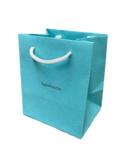 Tiffany Co Tiffany Co Piccola Borsa da Shopping in Carta Verde
