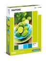 Clementoni Pantone Lime Punch Puzzle 1000 pezzi unisex