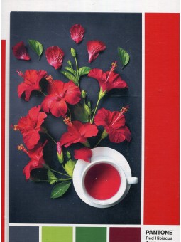 Clementoni Pantone Bacca di Goji Puzzle 1000 pezzi unisex