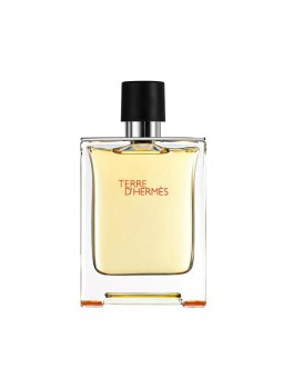 Hermes Terre D Hermes eau de toilette uomo 200ml