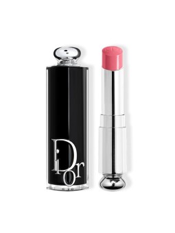 Dior Addict Rossetto Barra dei Labbra 373 1un Donna