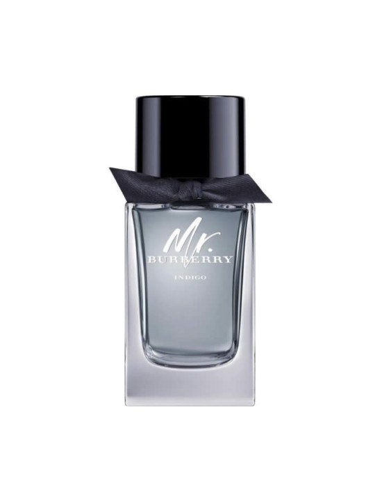 Burberry Mr Burberry Indigo eau de toilette uomo 100ml