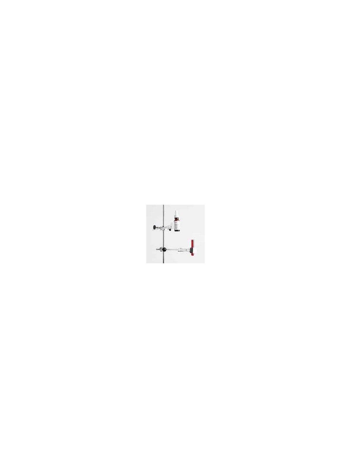 The Ordinary Pycnogenol 5% 15ml