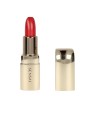 Rossetto Sensai 06. Arancione Kinmokusei