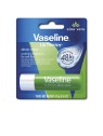 Vaseline Cura delle labbra allAloe Vera donna 48g