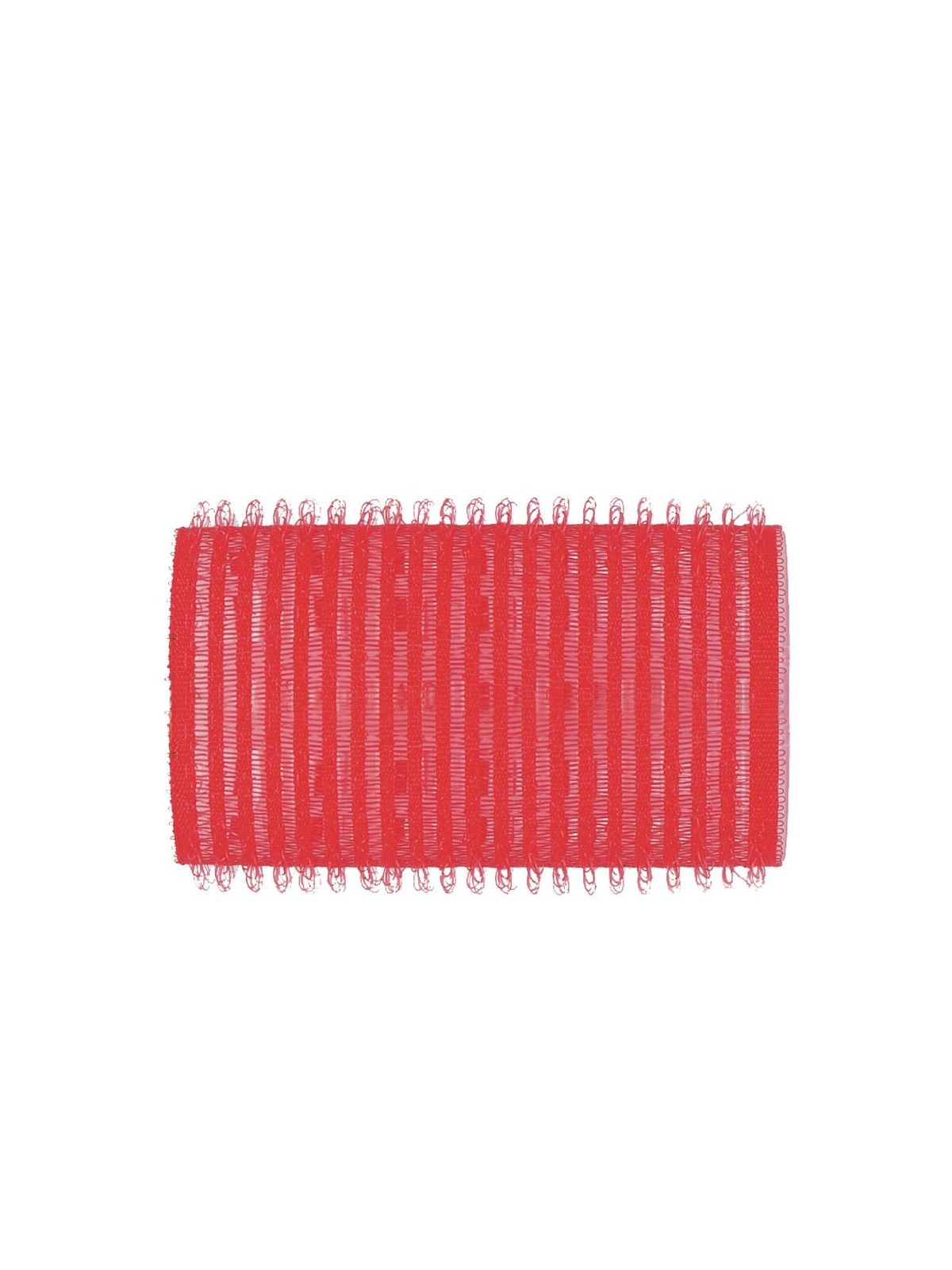 Beter RULOS aderenti 36 mm 6 unit donna