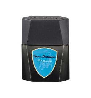 Lamborghini Acqua eau de toilette Spray uomo 125ml