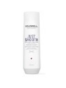 Goldwell Dualsenses Just Smooth Taming Shampoo 250 ml