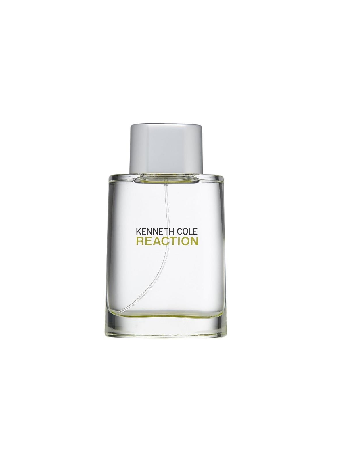 Kenneth Cole Reaction for Men Eau De Toilette 100ml uomo