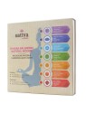 SATTVA Chakra Balancing Natural Incense incenso naturale armonizzante dei chakra 49 pz