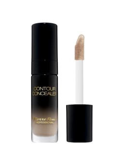 PIERRE RENE Contour Concealer 02