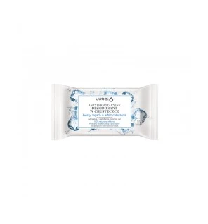 LUBA Salviette antitraspiranti con effetto rinfrescante Fresh Scent 15 pz