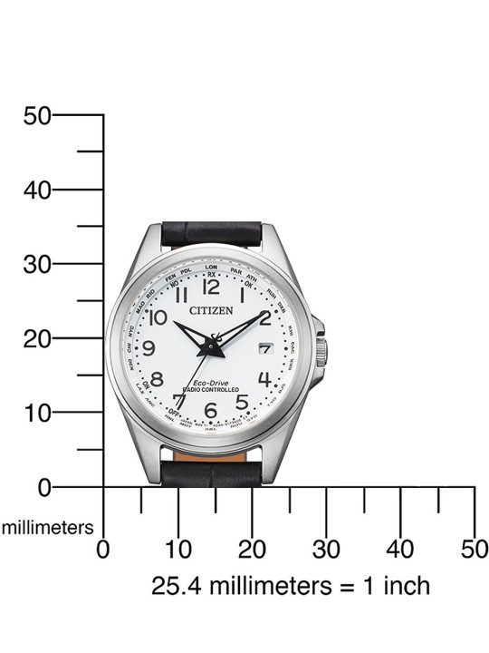 Citizen Eco-Drive EC1180-14A acquista 