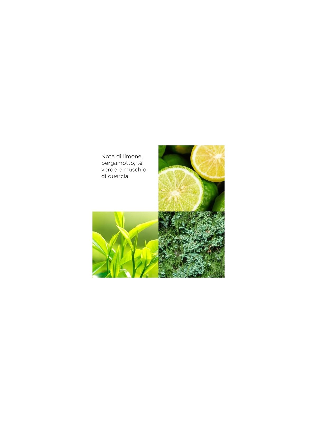 Deodorante Roll-on Elizabeth Arden Green Tea 40ml