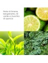 Deodorante Roll-on Elizabeth Arden Green Tea 40ml