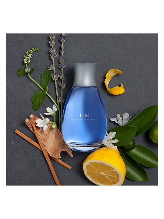 Alfred Sung Ciao eau de toilette uomo 100ml
