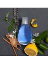 Alfred Sung Ciao eau de toilette uomo 100ml