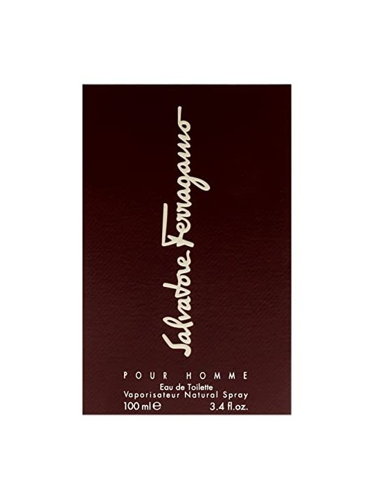 Salvatore Ferragamo Pour Homme 100ml
