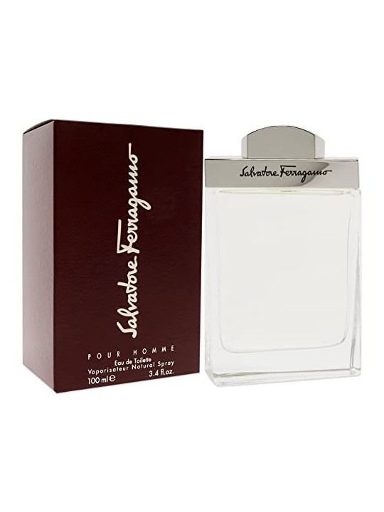 Salvatore Ferragamo Pour Homme 100ml