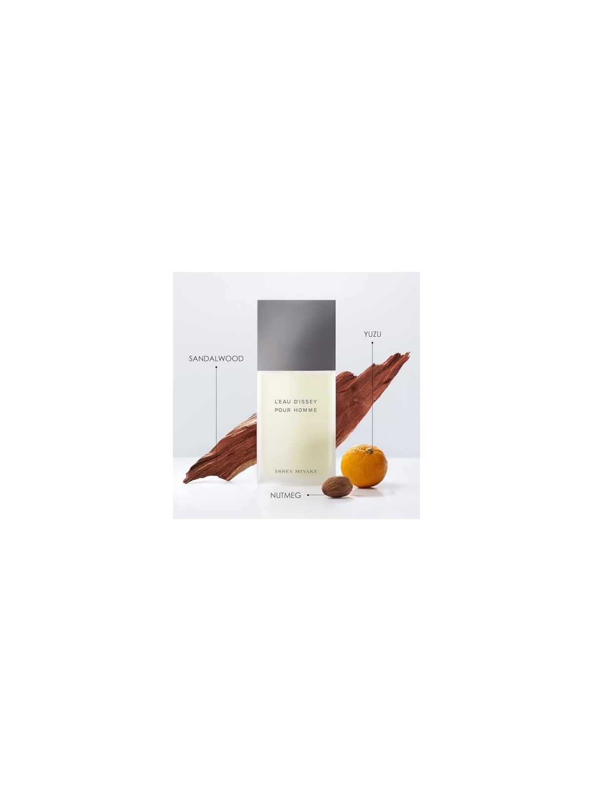 Issey Miyake L'Eau D'Issey Pour Homme eau de toilette Spray uomo 200ml 
