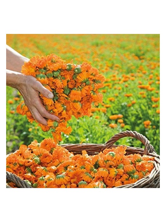 Weleda Lozione per la pelle unisex alla Calendula Marigold 200ml