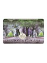 Sapone da toeletta Nesti Dante Emozioni In Toscana Foresta Incantata 250g