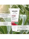 Weleda Sage Gum Balm unisex 30ml