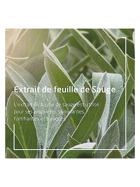 Weleda Sage Gum Balm unisex 30ml