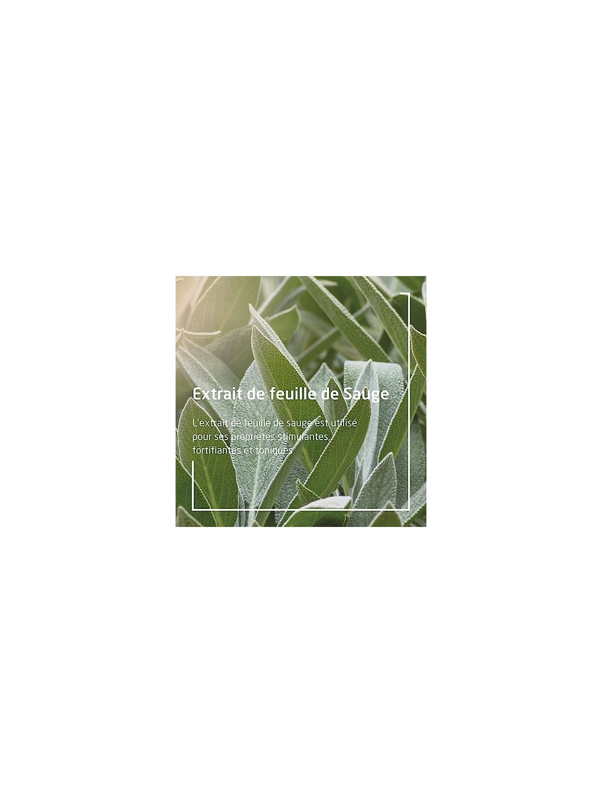 Weleda Sage Gum Balm unisex 30ml