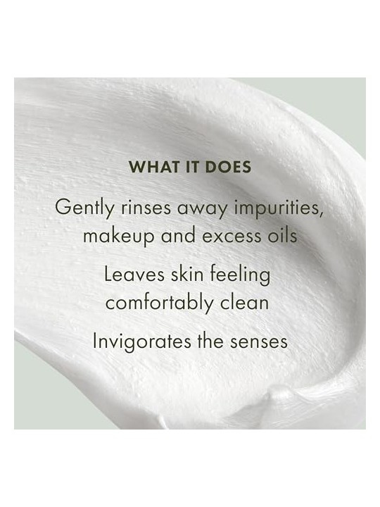 Origins Checks & Balances Frothy Face Wash donna 150ml