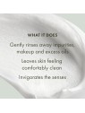 Origins Checks & Balances Frothy Face Wash donna 150ml