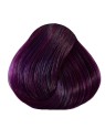 Tinta condizionante semipermanente Plum per capelli donna
