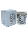 Candela profumata Diptyque Feu De Bois unisex 190g