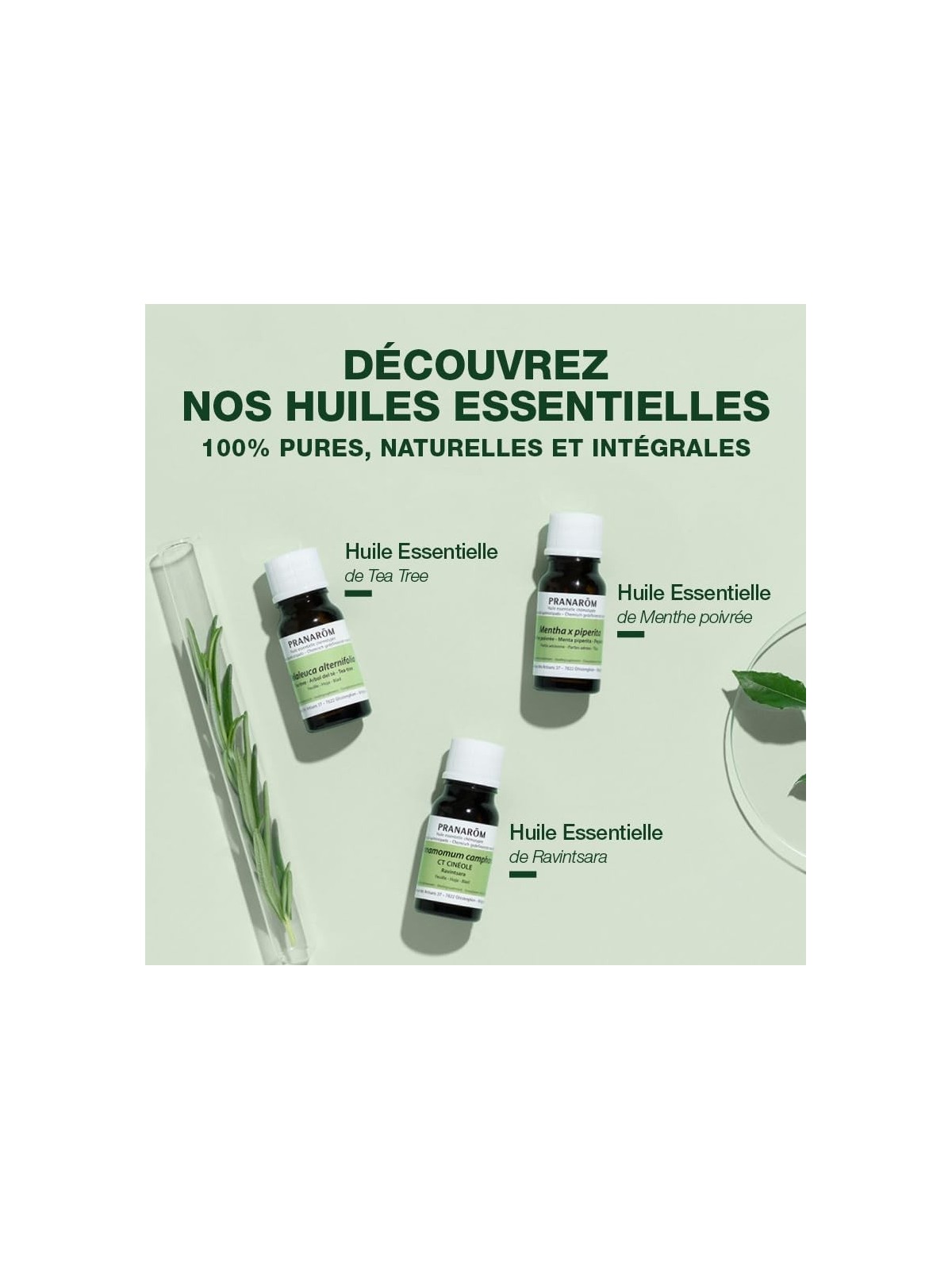 PRANARM OLIO ESSENZIALE di tea tree 10ml unisex
