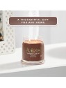 Yankee Candle Candela Profumata Unisex Pralina Betulla 368g
