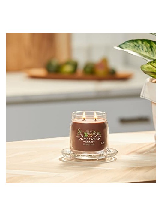 Yankee Candle Candela Profumata Unisex Pralina Betulla 368g