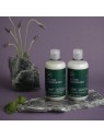 Paul Mitchell TEA TREE LAVENDER MINT balsamo idratante 1000ml unisex