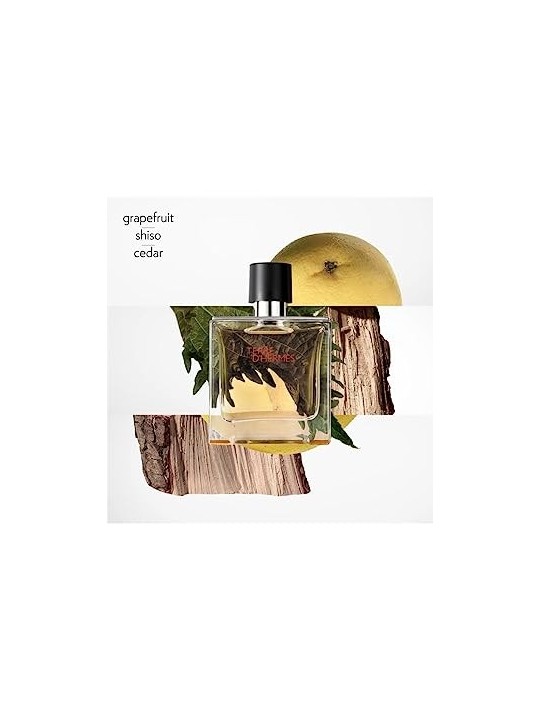 Hermes Terre D'Hermes Parfum Spray 75ml acquista
