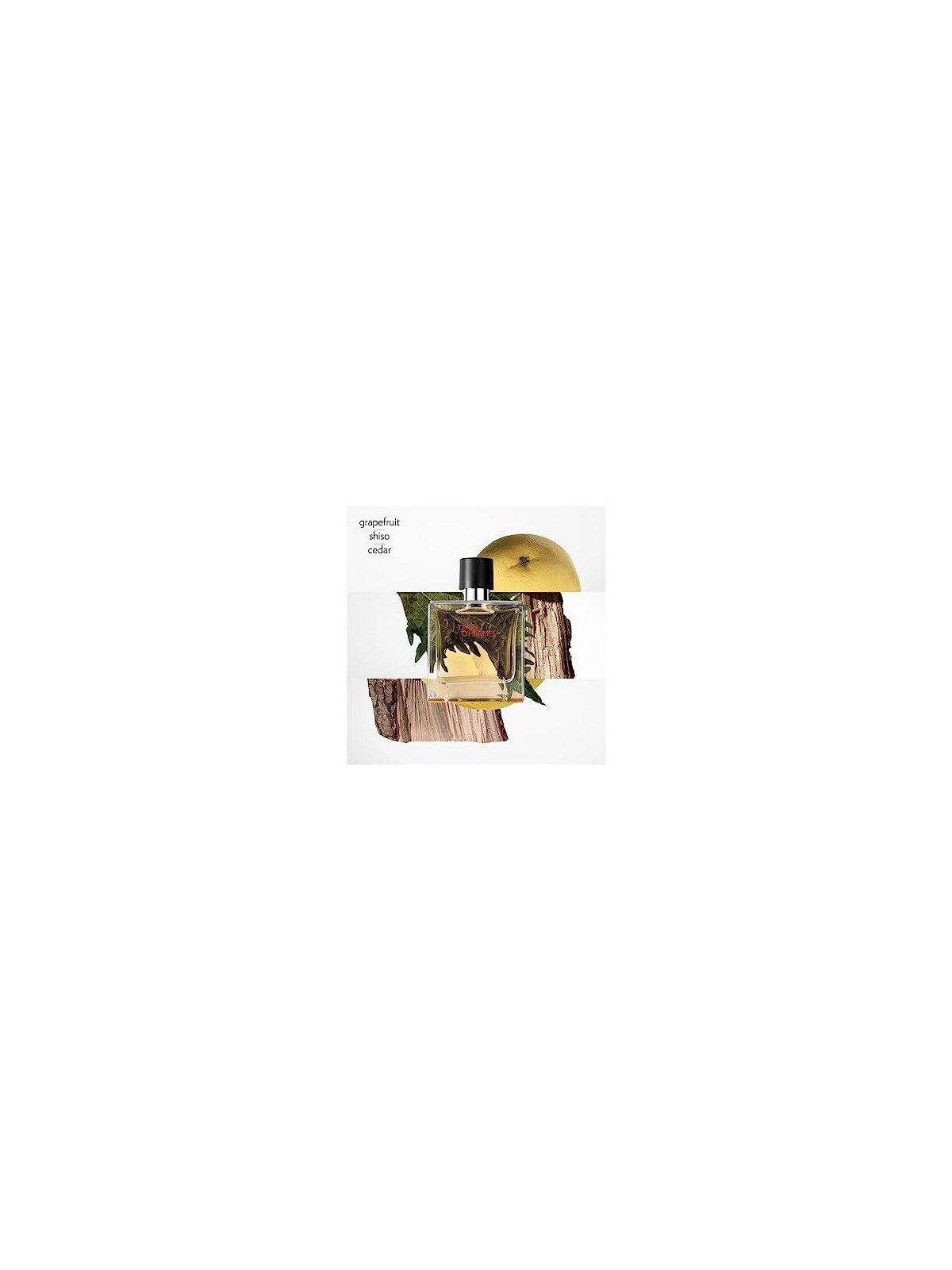 Hermes Terre D'Hermes Parfum Spray 75ml acquista