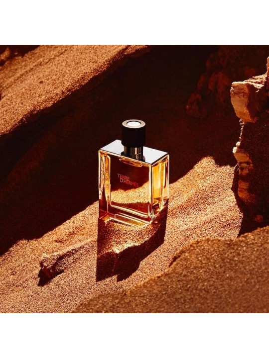 Hermes Terre D'Hermes Parfum Spray 75ml acquista